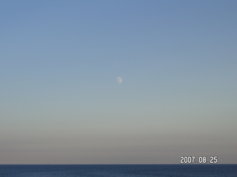 s_PICT0020.jpg
